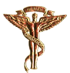 Chiropractic Cadeuceus
